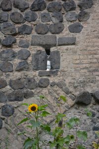Steine am Severinstor, Foto Rohde, Fortis Colonia