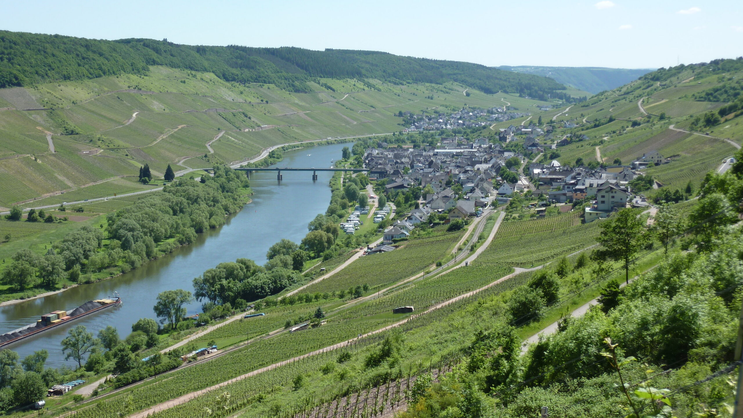 <a href="https://commons.wikimedia.org/wiki/File:Reil_Mosel_002.jpg">Ralfk</a>, <a href="https://creativecommons.org/licenses/by-sa/3.0">CC BY-SA 3.0</a>, via Wikimedia Commons