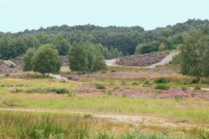 Wahner Heide © Olbertz, CC BY-SA 3.0, via Wikimedia Commons